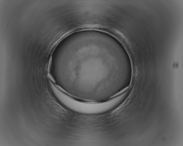 X0000088861361200706291508