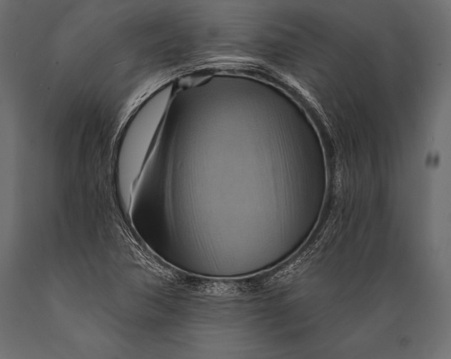 X0000088861362200706291508