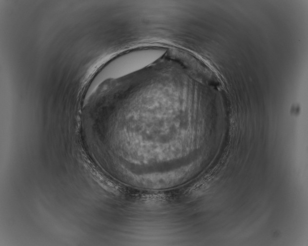 X0000088861363200706291508
