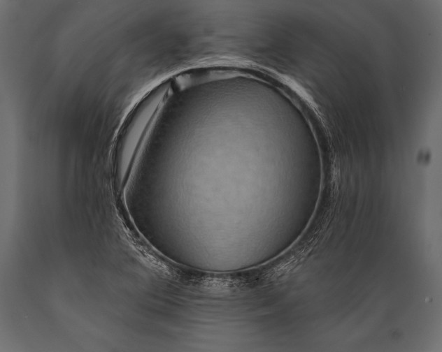 X0000088861364200706291508