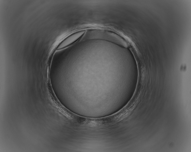 X0000088861365200706291508