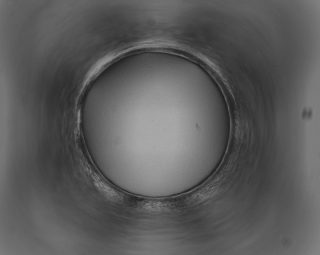 X0000088861366200706291508