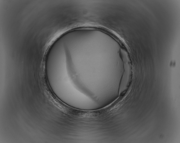 X0000088861367200706291508