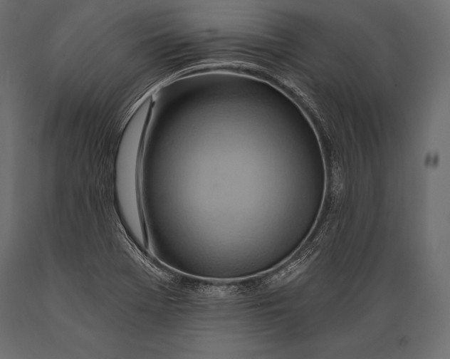 X0000088861369200706291508