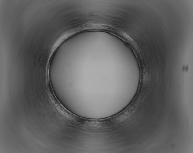 X0000088861370200706291508