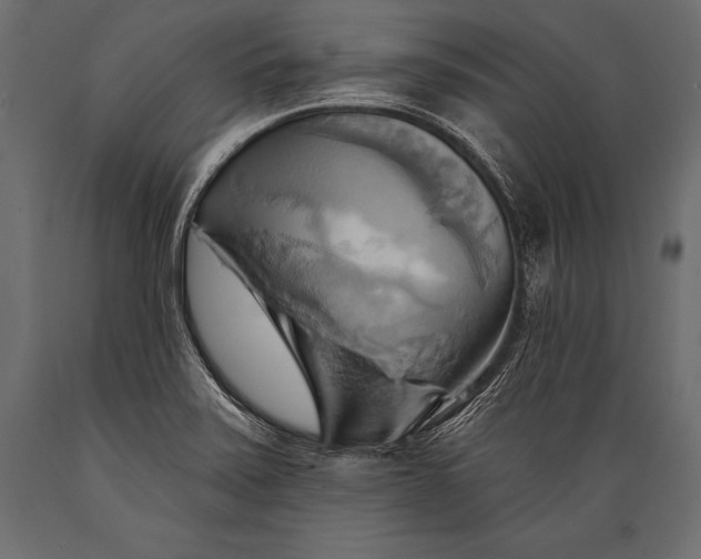 X0000088861371200706291508
