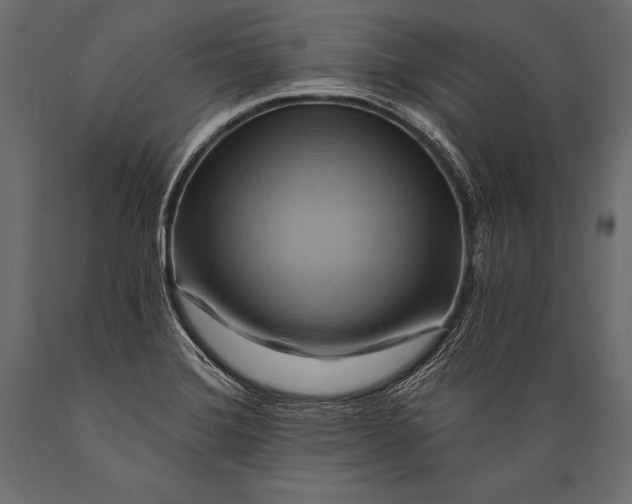 X0000088861372200706291508