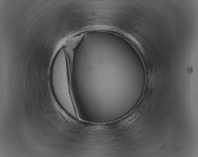 X0000088861373200706291508