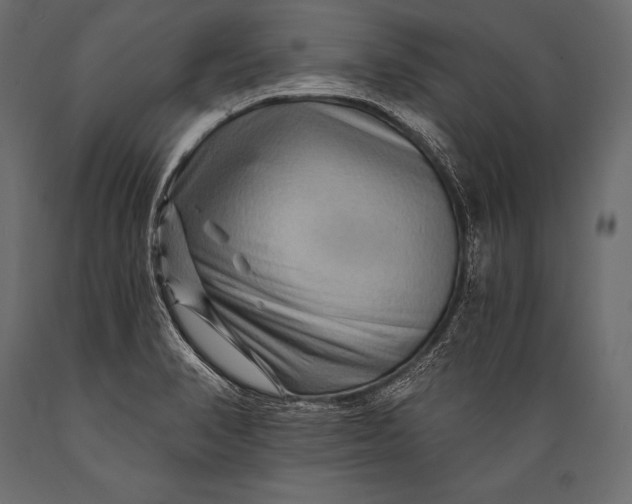 X0000088861374200706291508