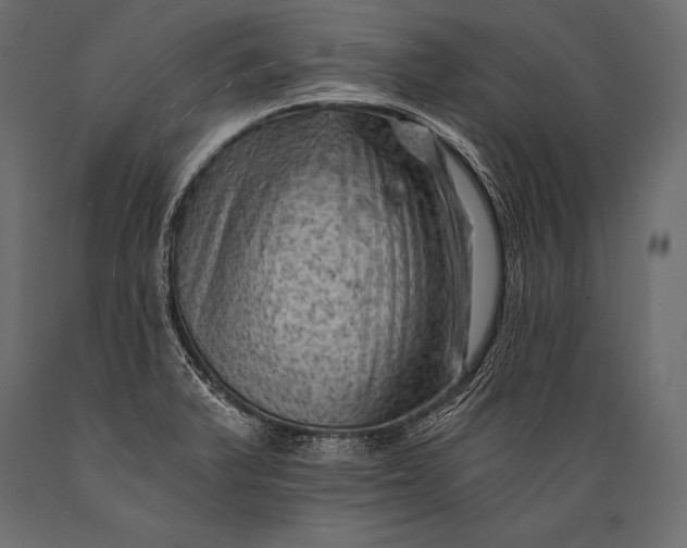 X0000088861375200706291508