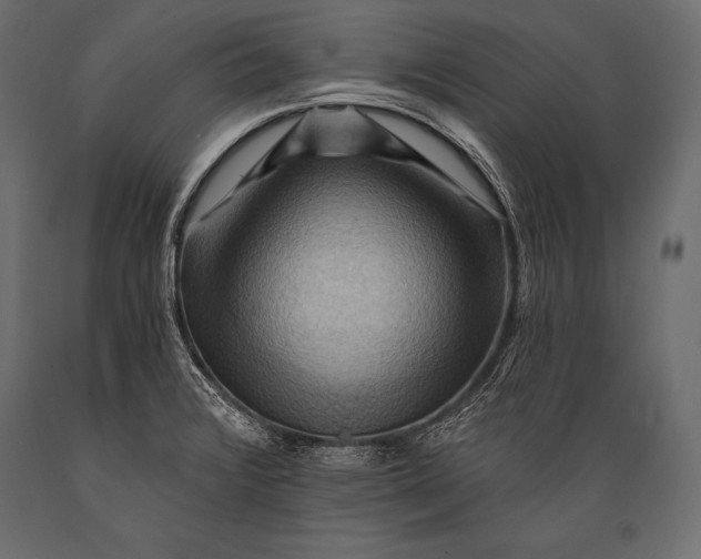 X0000088861376200706291508