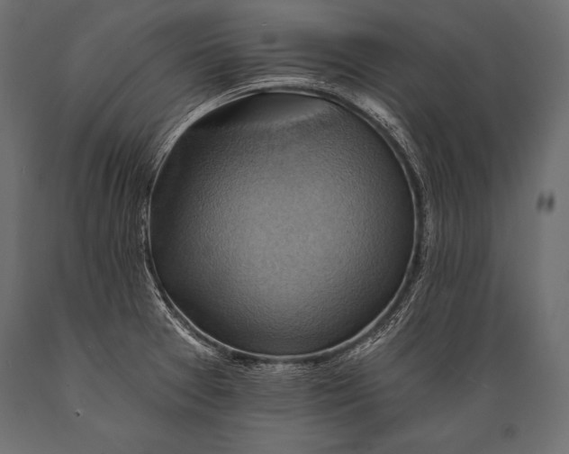 X0000088861377200706291508