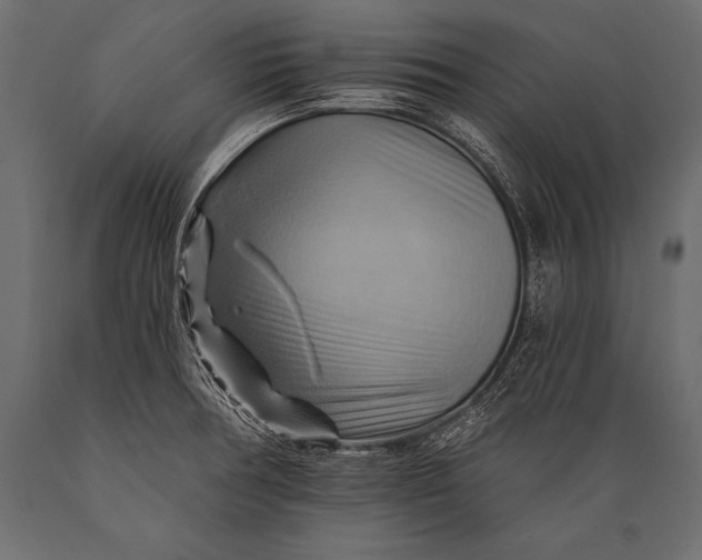 X0000088861378200706291508