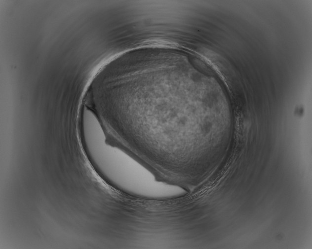 X0000088861379200706291508