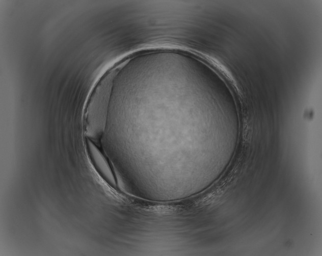 X0000088861380200706291508