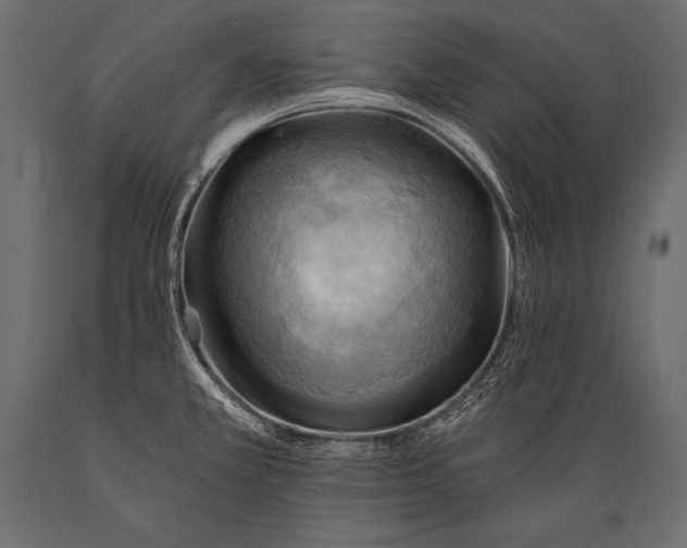 X0000088861381200706291508