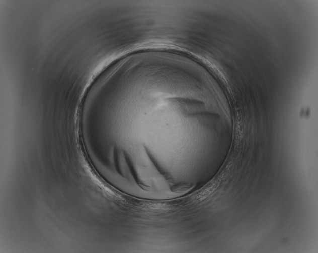 X0000088861382200706291508