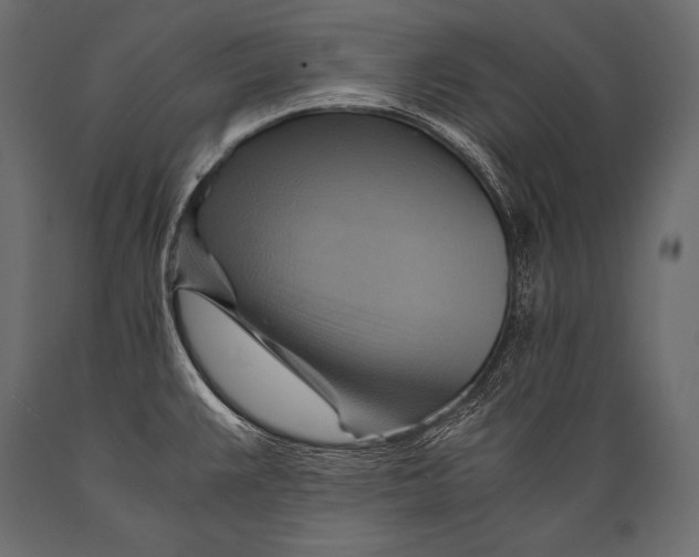X0000088861383200706291508