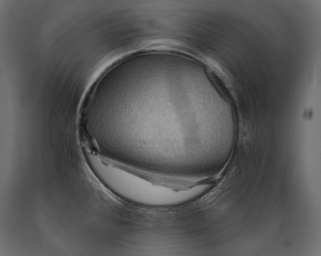 X0000088861384200706291508