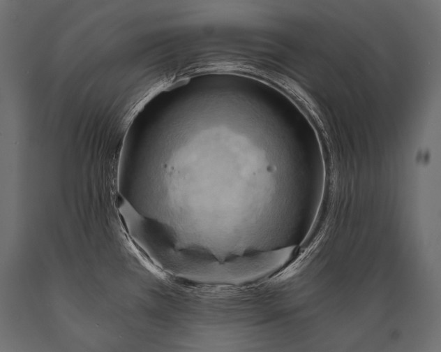 X0000088861385200706291508