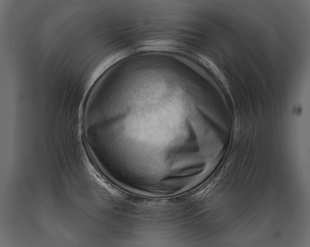 X0000088861386200706291508