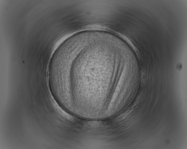 X0000088861387200706291508