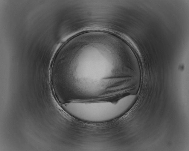 X0000088861388200706291508