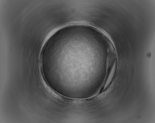 X0000088861389200706291508