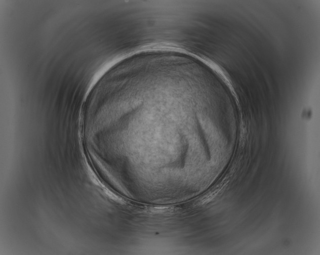 X0000088861390200706291508