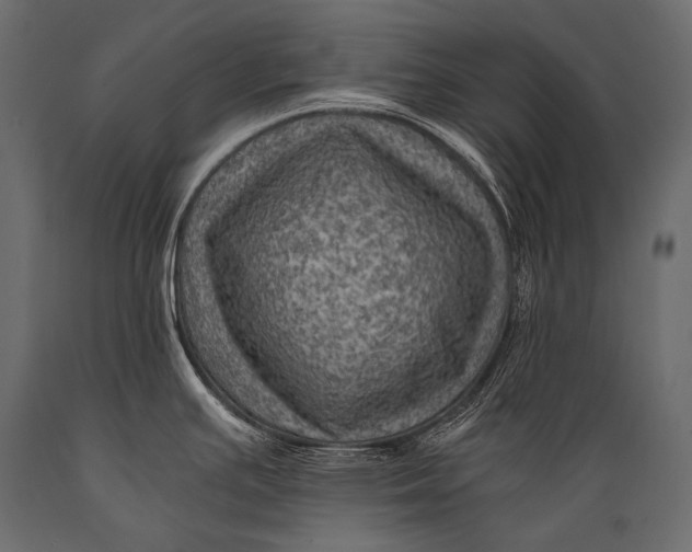 X0000088861391200706291508