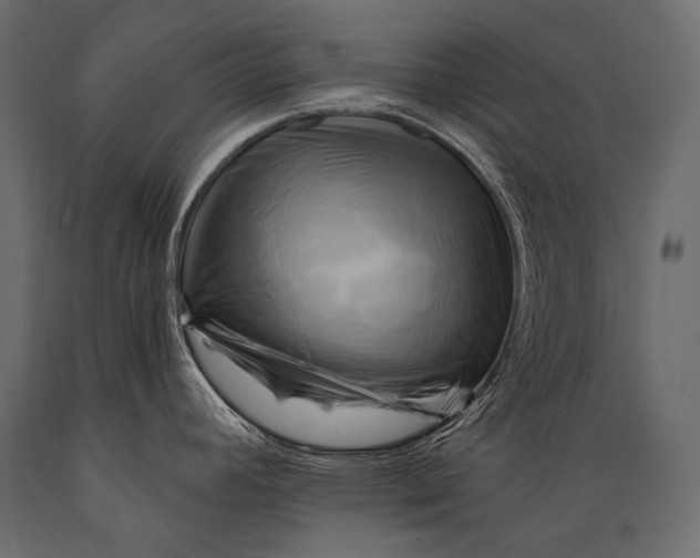 X0000088861392200706291508