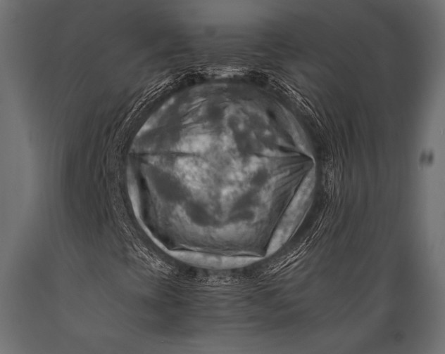 X0000088861393200706291507