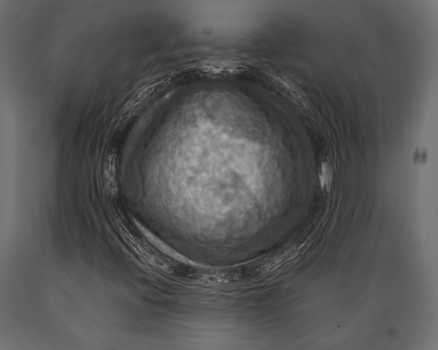 X0000088861396200706291507