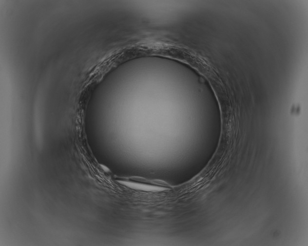 X0000088861397200706291507