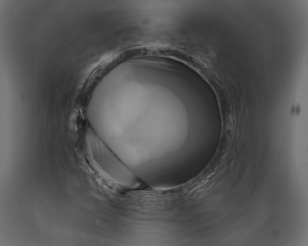 X0000088861398200706291507