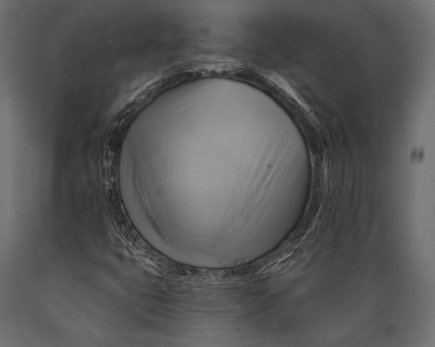 X0000088861399200706291507