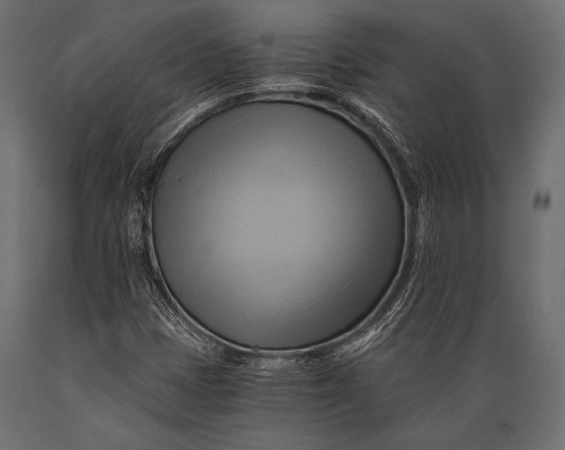 X0000088861401200706291507