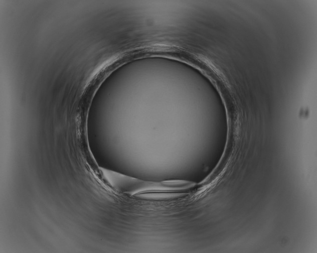 X0000088861402200706291507