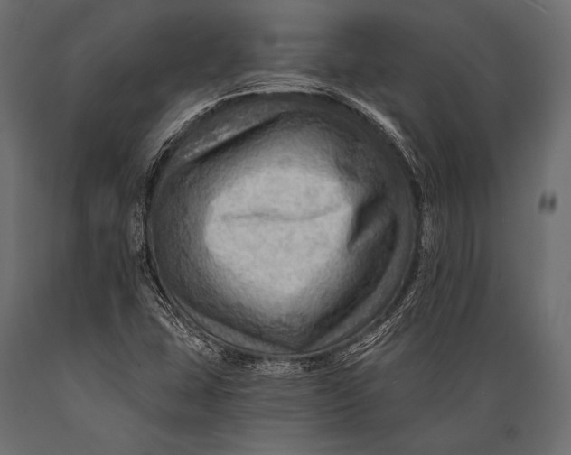 X0000088861407200706291507
