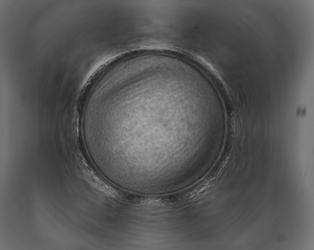X0000088861408200706291507