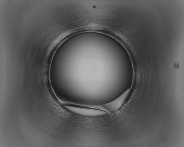 X0000088861410200706291507