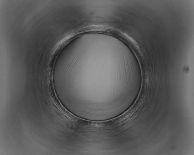 X0000088861411200706291507