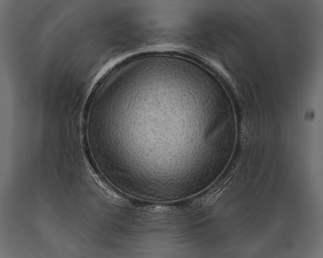 X0000088861412200706291507