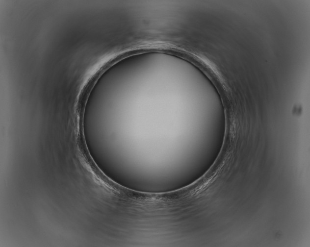 X0000088861414200706291507