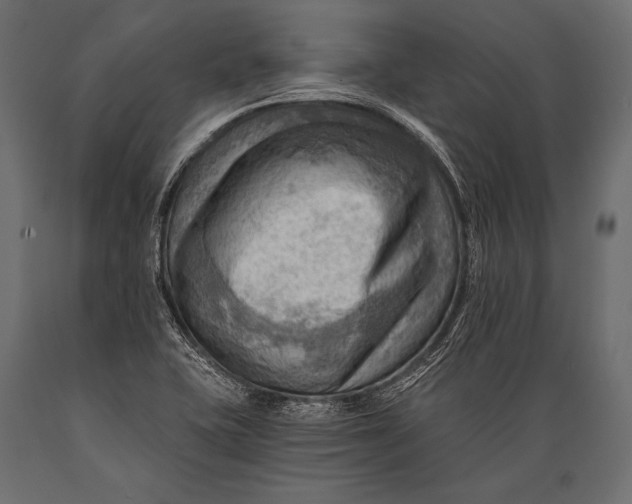 X0000088861415200706291507
