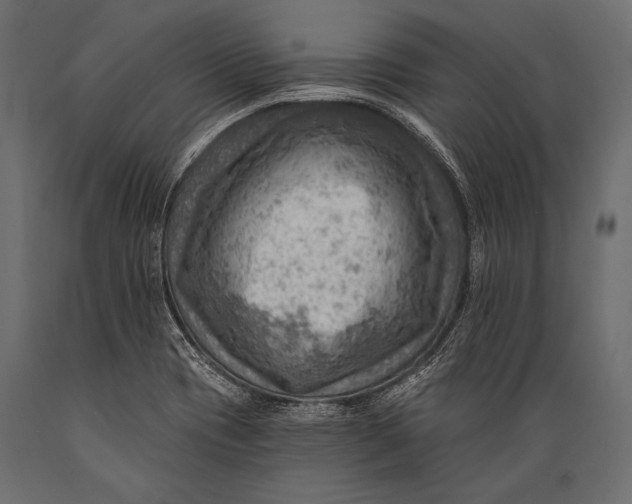 X0000088861417200706291507