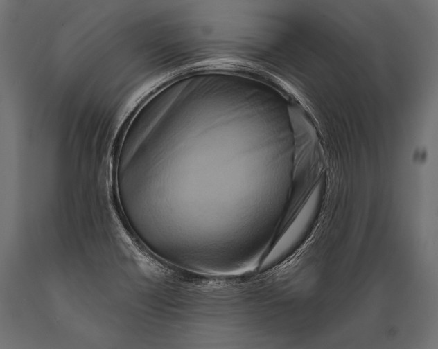 X0000088861418200706291507