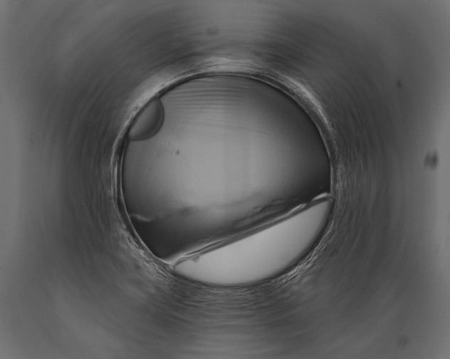 X0000088861419200706291507