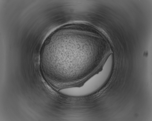 X0000088861420200706291507