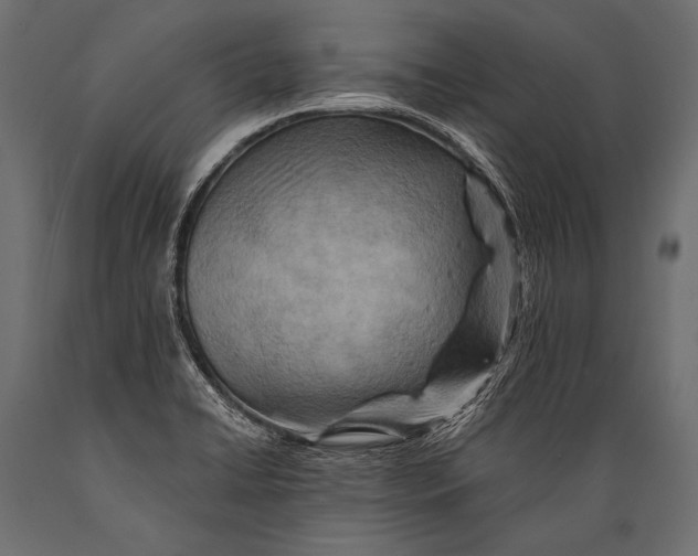 X0000088861422200706291507